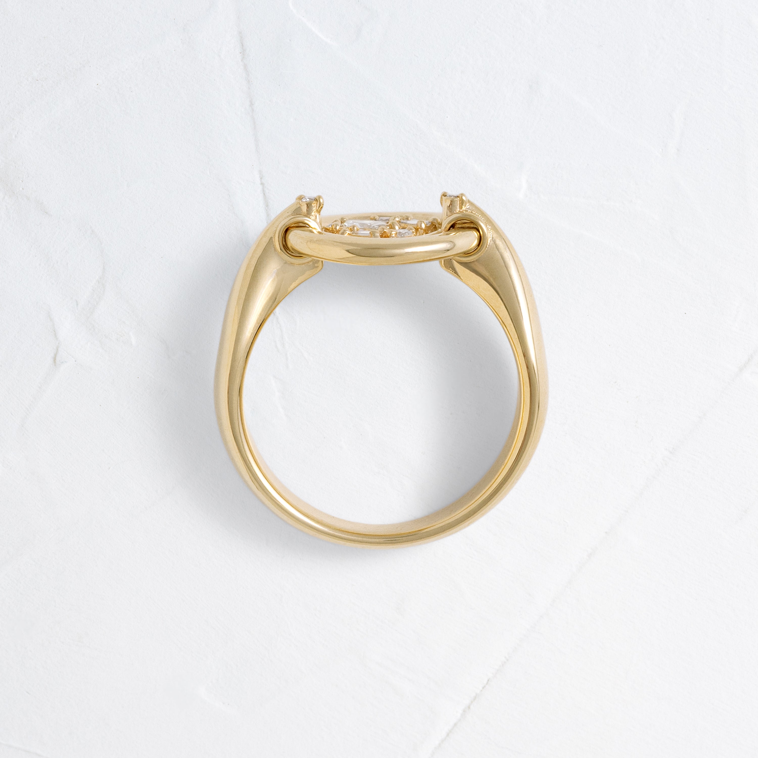 Threshold Spinner Ring | Melanie Casey Fine Jewelry