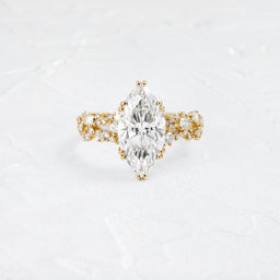 |Demi|14k Yellow Gold