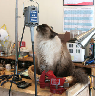 Photo of Melanie Casey's bench in 2015