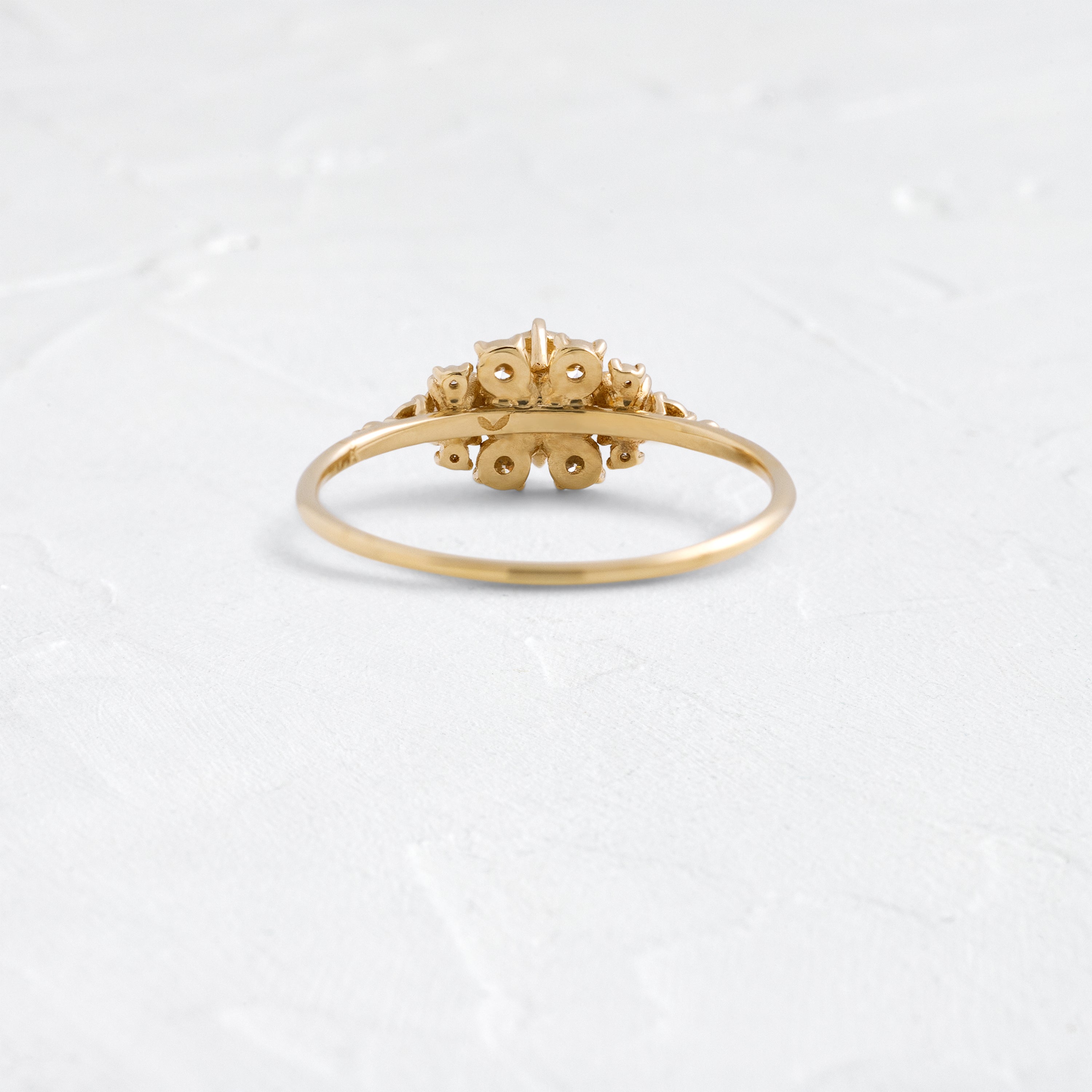 Surround Ring, 0.53ct. Natural Round Cut | Melanie Casey