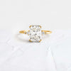 Pictorial Ring, Radiant Cut (14k Yellow Gold)