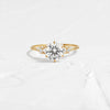 Blossom Ring, Round Cut (14k Yellow Gold)