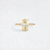Wreathed Ring, 2.3ct. Champagne Diamond (14k Yellow Gold)
