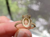 Zoom in on Starboard Ring (14k Yellow Gold)